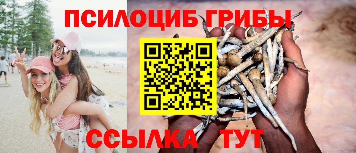 Галлюциногенные грибы Psilocybe  Вход с VPN  Октябрьский  Псилоцибиновые грибы прущие грибы 